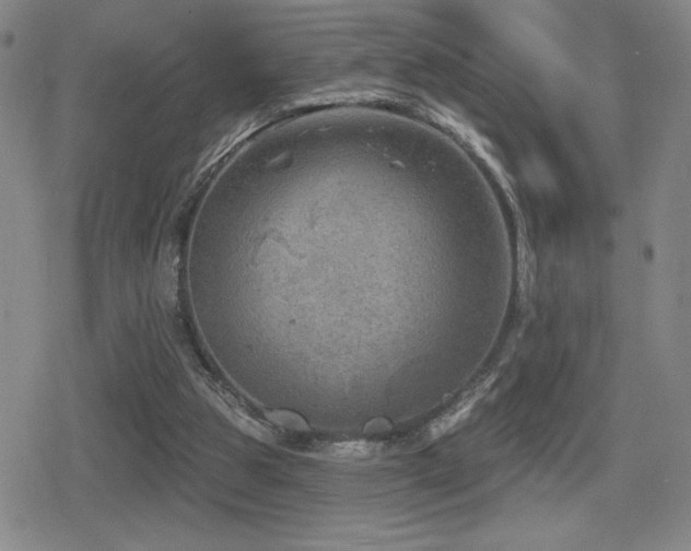 X0000080720153200612151207