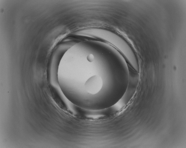 X0000080720154200612151207