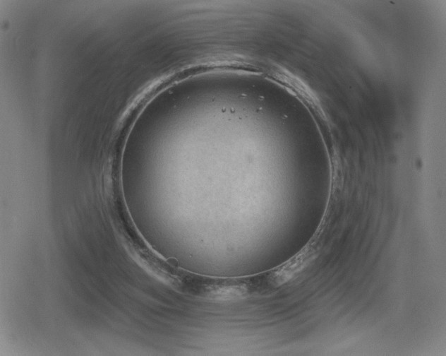 X0000080720155200612151207