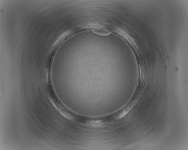 X0000080720157200612151207