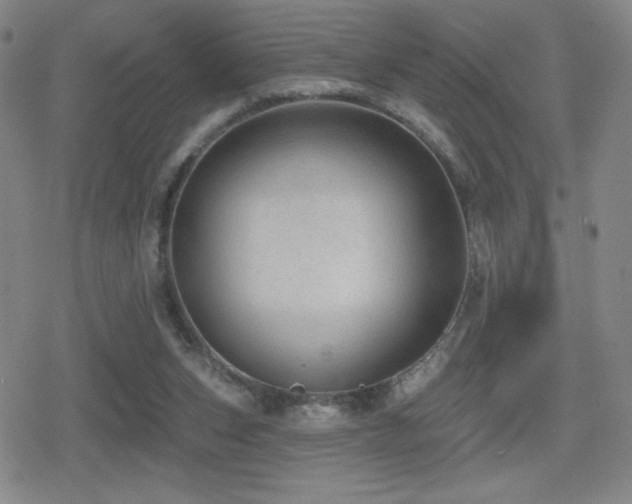 X0000080720159200612151208