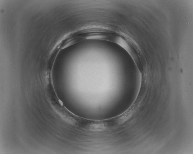 X0000080720160200612151208