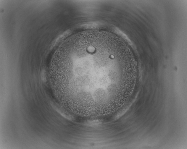 X0000080720161200612151208