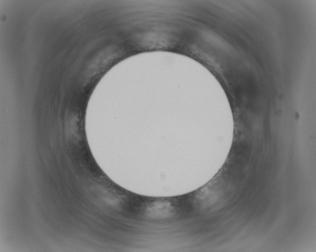 X0000080720162200612151208