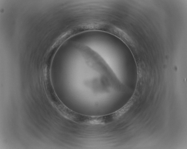 X0000080720163200612151208