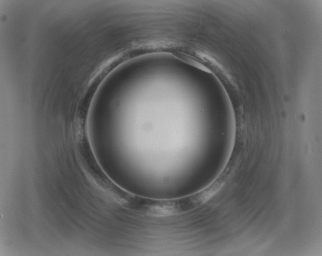 X0000080720164200612151208