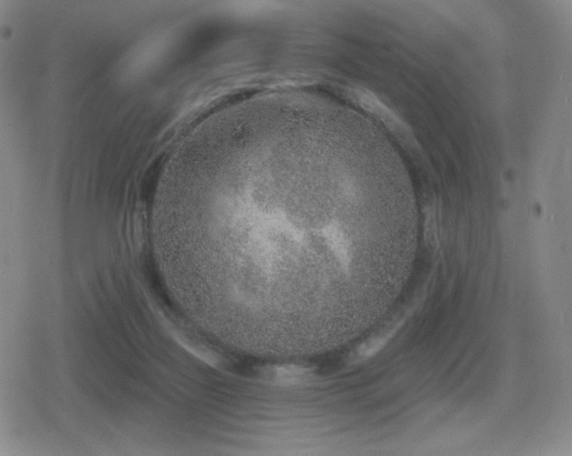 X0000080720165200612151208