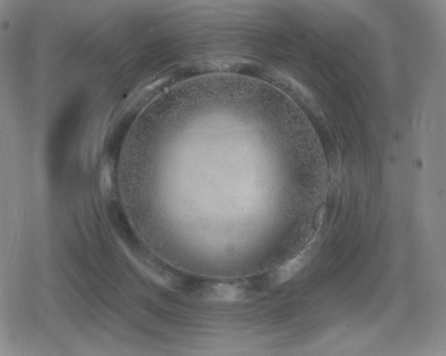 X0000080720166200612151208