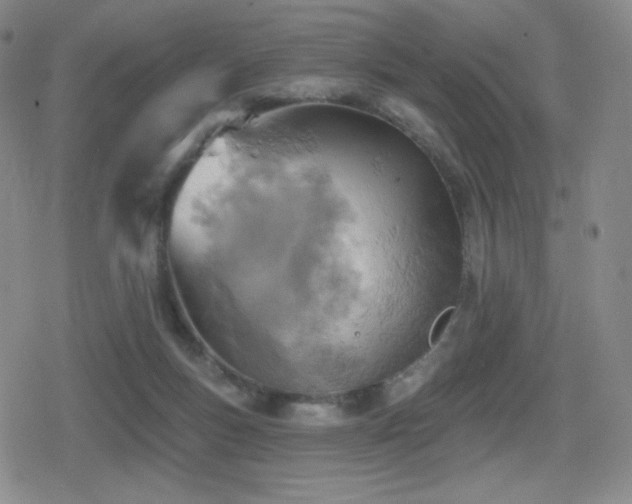 X0000080720167200612151208