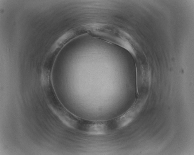 X0000080720168200612151208