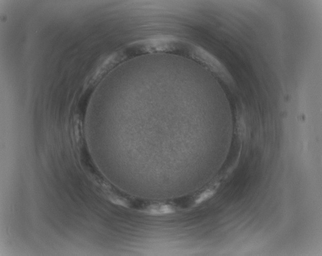 X0000080720169200612151208