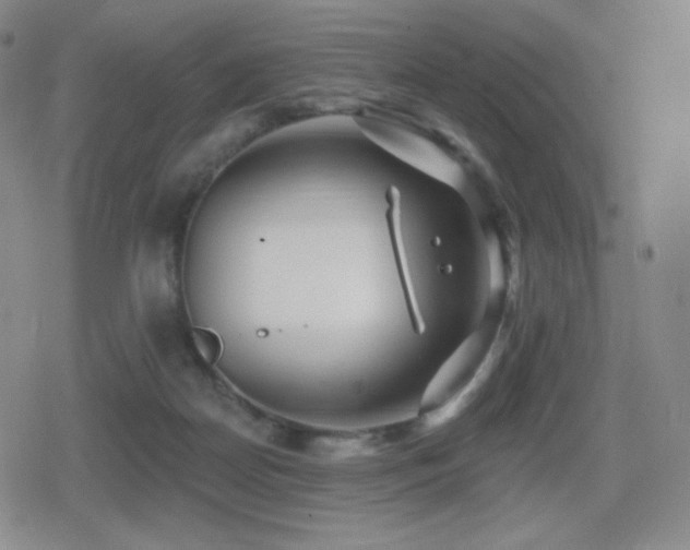 X0000080720170200612151208