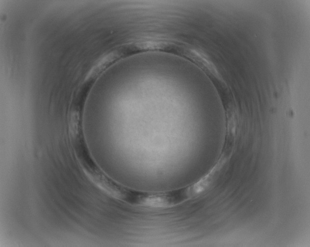 X0000080720171200612151208