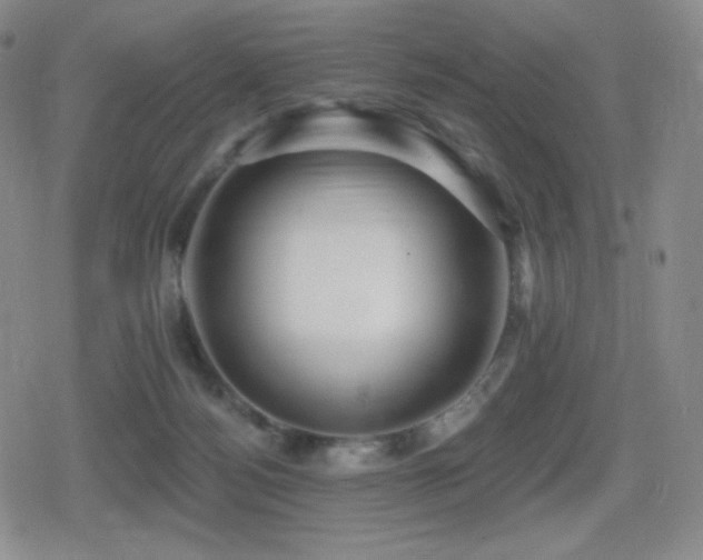 X0000080720172200612151208