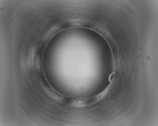 X0000080720174200612151208