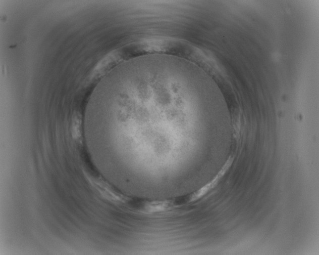 X0000080720175200612151208