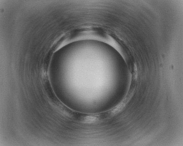 X0000080720176200612151208