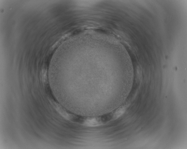 X0000080720177200612151208