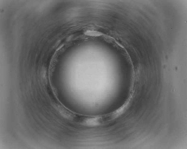 X0000080720178200612151208