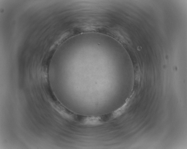 X0000080720179200612151208