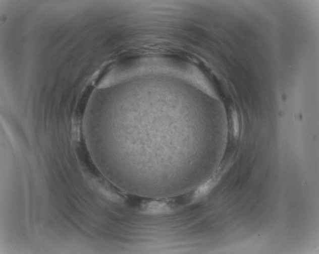 X0000080720180200612151208