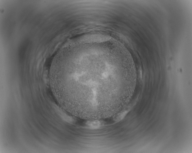 X0000080720181200612151208