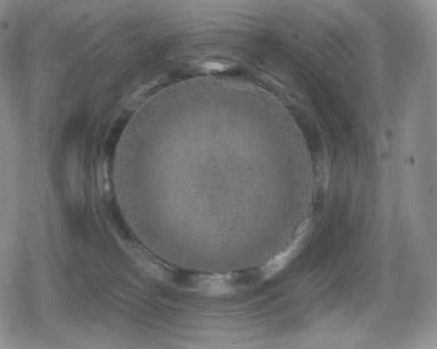 X0000080720182200612151208