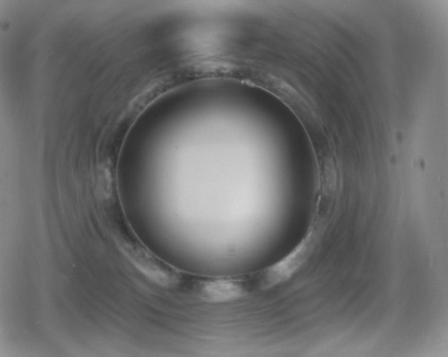 X0000080720183200612151208