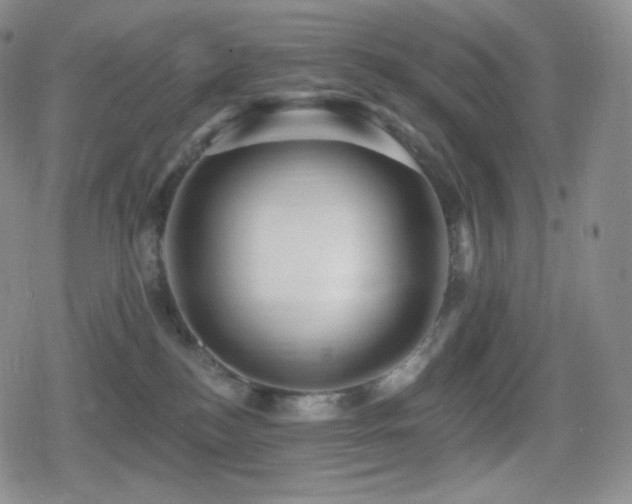 X0000080720184200612151208