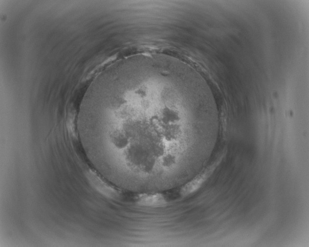 X0000080720185200612151208