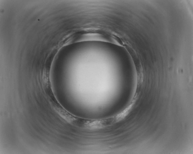 X0000080720186200612151208