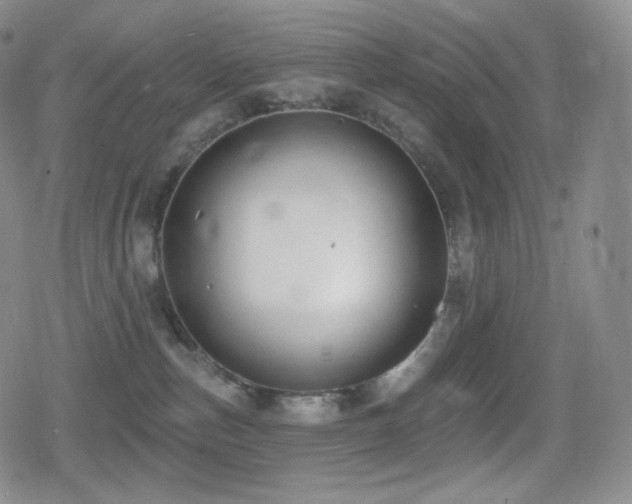 X0000080720187200612151208