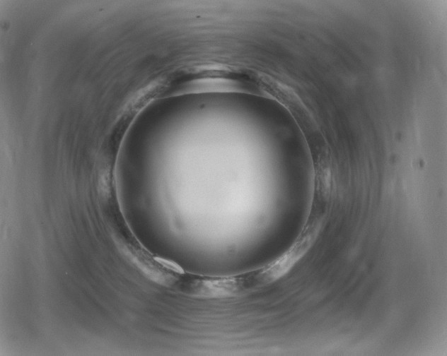 X0000080720188200612151208