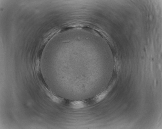 X0000080720189200612151208