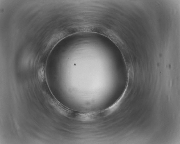 X0000080720190200612151208