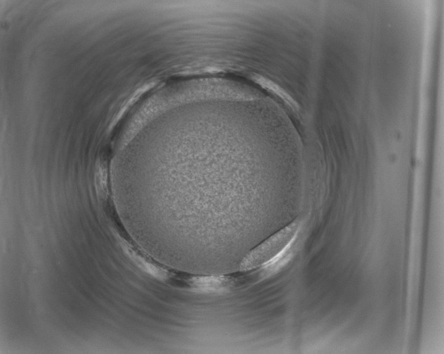 X0000080720192200612151208