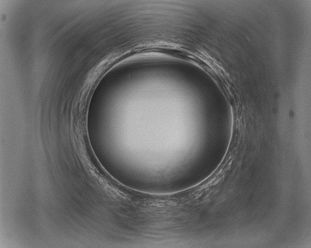 X0000080720193200612151207