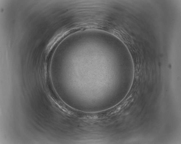 X0000080720194200612151207