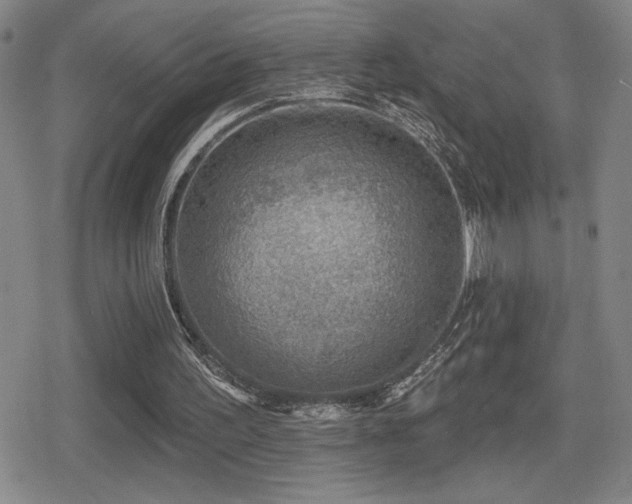 X0000080720195200612151207