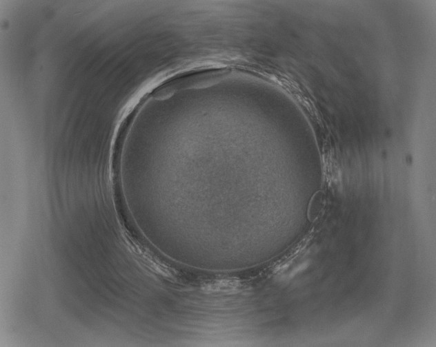 X0000080720196200612151207