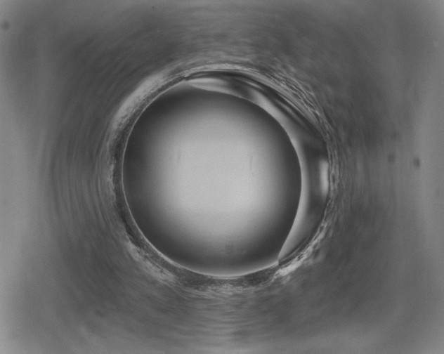 X0000080720197200612151207