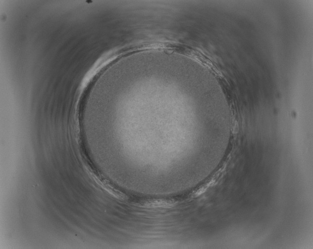 X0000080720198200612151207