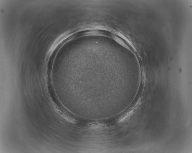 X0000080720199200612151207