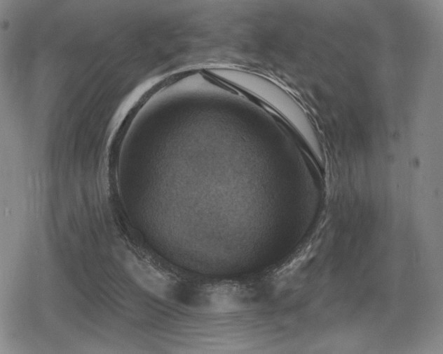 X0000080720200200612151207