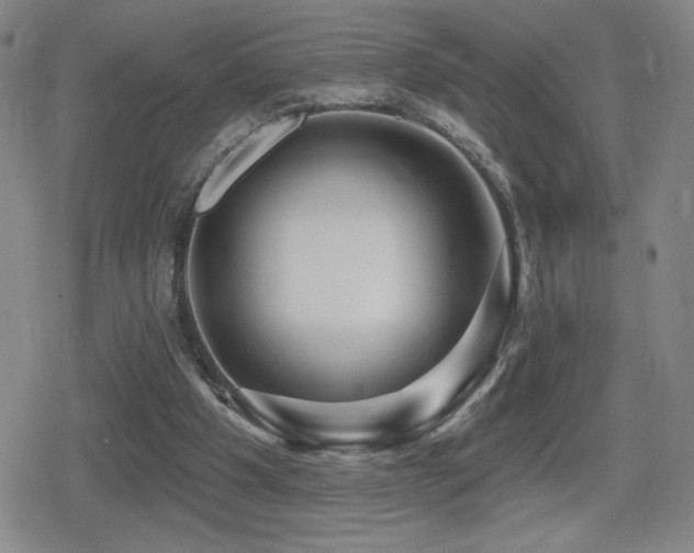 X0000080720201200612151207