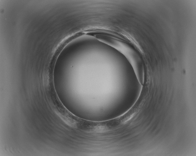 X0000080720204200612151207