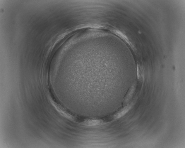 X0000080720205200612151207