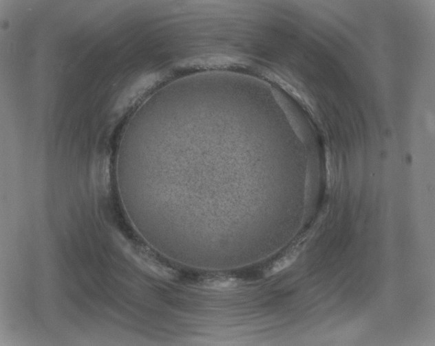 X0000080720206200612151207