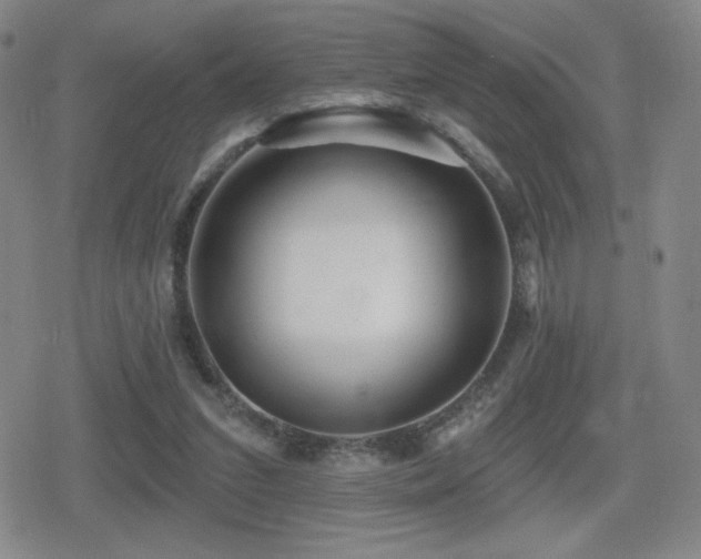 X0000080720207200612151207