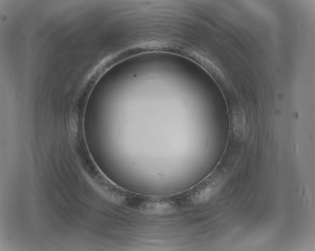 X0000080720208200612151207